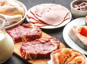 3 Günlük Protein Diyeti 