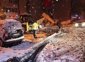 İstanbul'un 20 İlçesinde Kar ve Fırtına Ağaçları Devirdi
