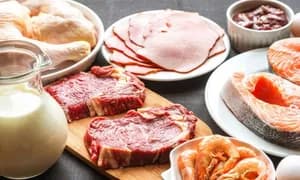 3 Günlük Protein Diyeti